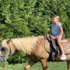 images/thumbsgallery/lovaglas_24.JPG